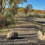 Colorado River Trail