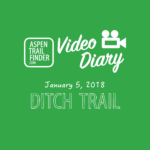 Video Diary Logo 1-5-18