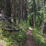 Kelley's Trail