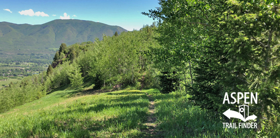 five trees trail